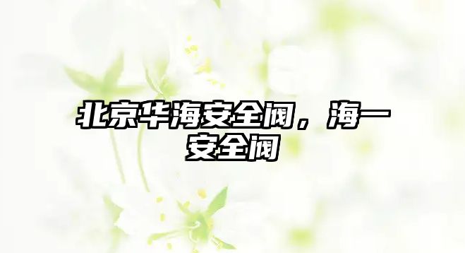 北京華海安全閥，海一安全閥