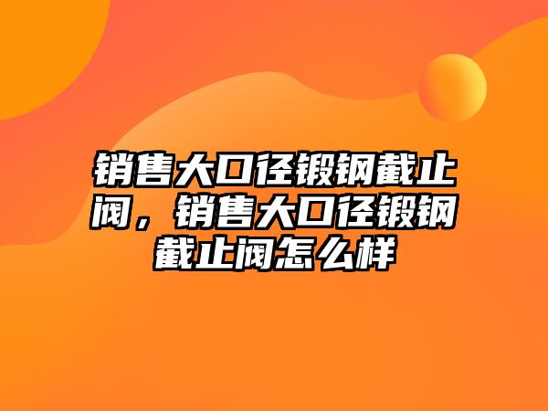 銷(xiāo)售大口徑鍛鋼截止閥，銷(xiāo)售大口徑鍛鋼截止閥怎么樣